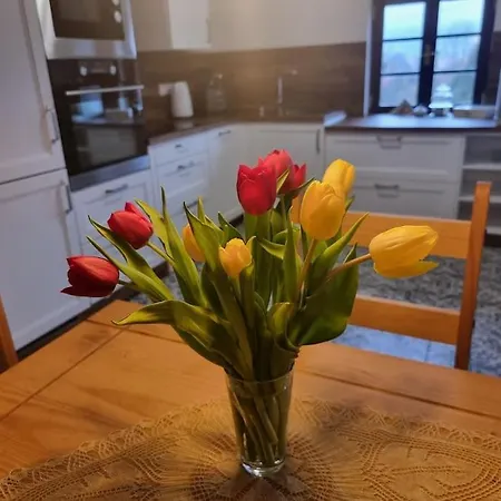 Luxusni Apartman Na Samote Kunraticke Svycarsko